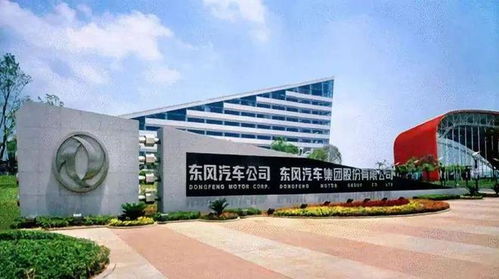又到 金九银十 季 这个品牌给出足够的诚意