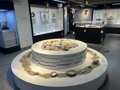 “贝海魁珍”翁清香贝雕展在漳州工艺美术馆盛大开幕