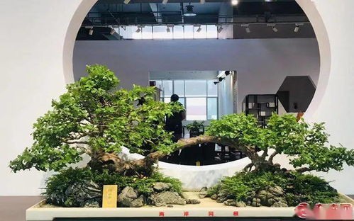 文明关注丨家门口赏上万件工艺精品 莆田这场盛会原来这么 红