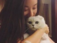 语画界 angela喜欢猫视频,与猫咪共度的温馨时光