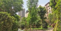 云溪别院高层,俯瞰山水，尽享都市宁静的云端居所