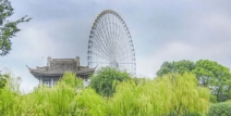 花漾无锡,探寻江南水乡的浪漫风情